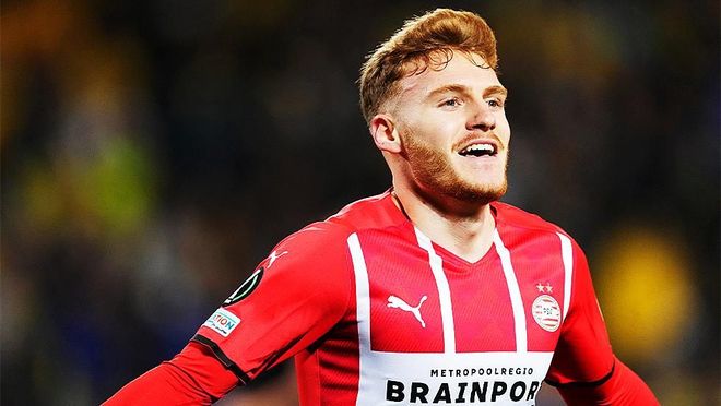 尼苏达森林 尼苏达森林